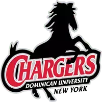 Dominican University of New York